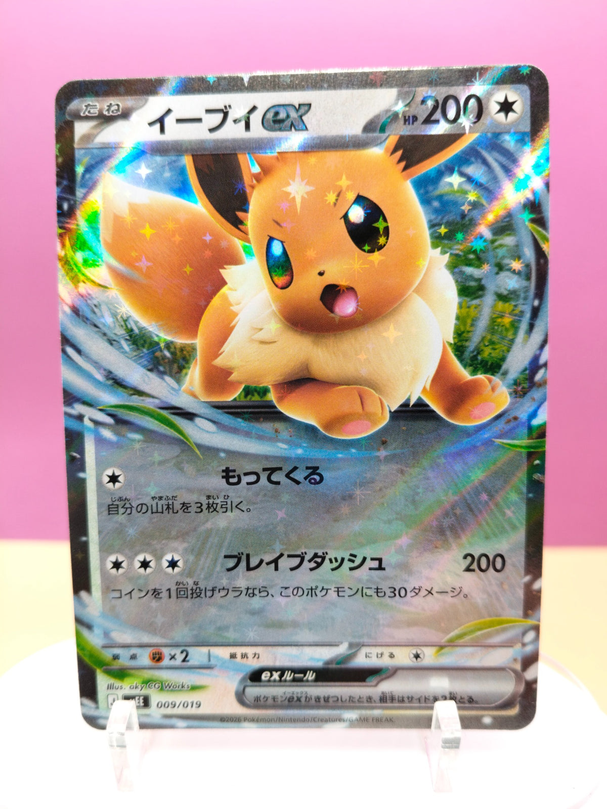 Eevee ex 009/019 - ex Starter Set Eevee ex