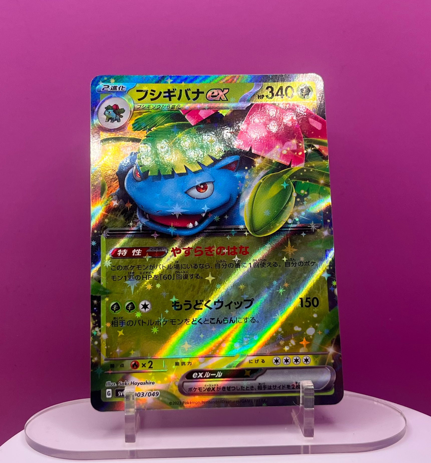 Venusaur Ex - Special Set