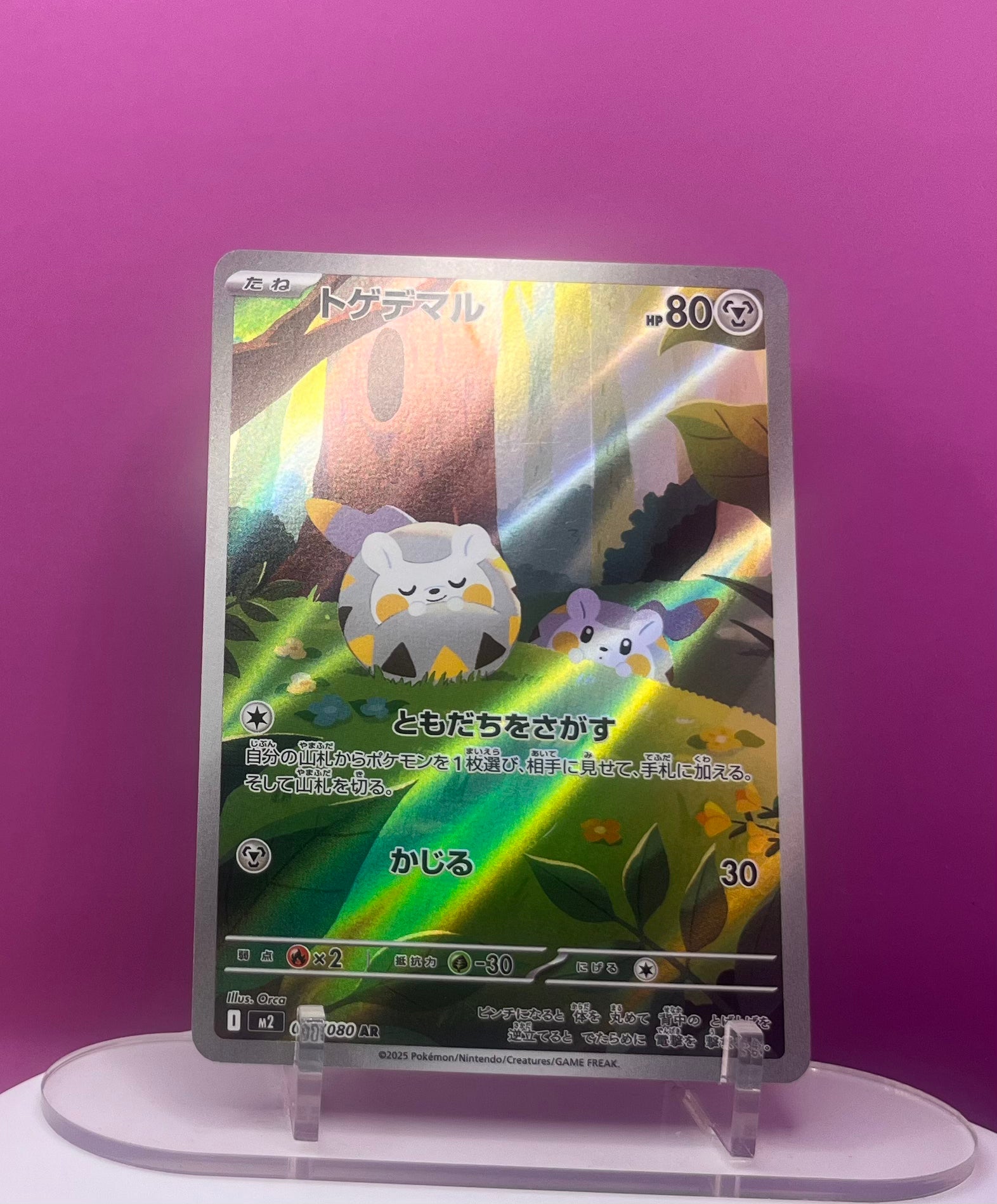 Togedemaru - Inferno X