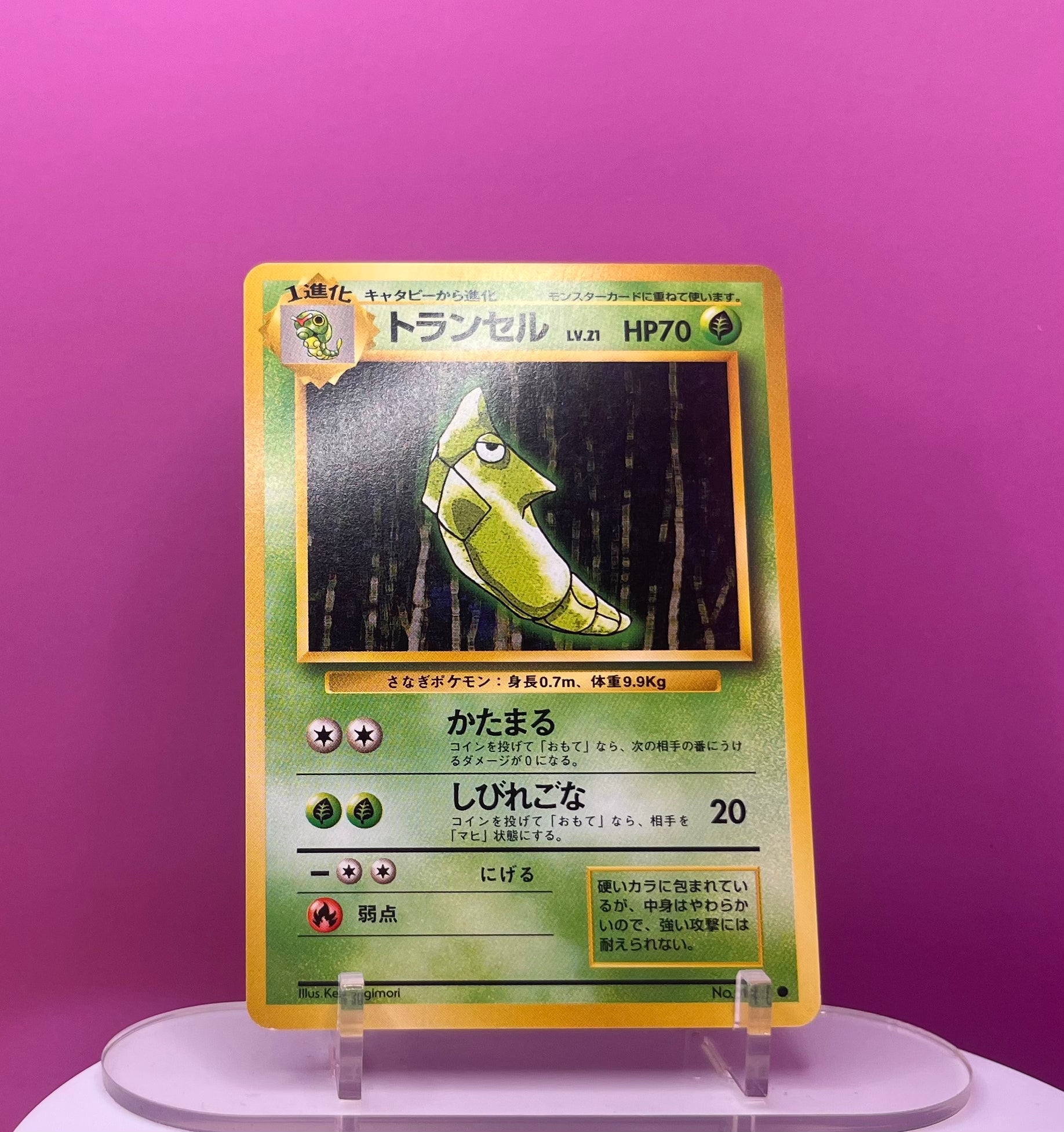 Metapod - Base Set